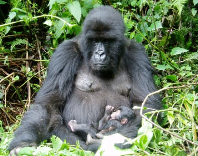 Mother Mahirwe and her infant