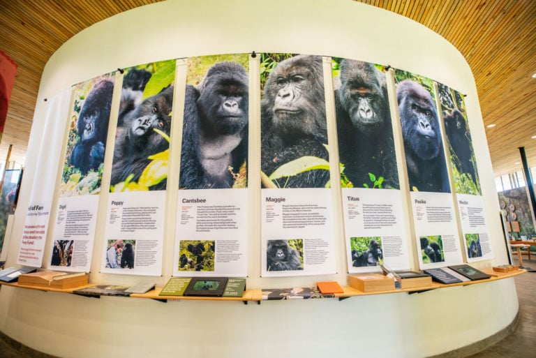he Gorilla Game Changer Wall at the Ellen DeGeneres Campus of the Dian Fossey Gorilla Fund