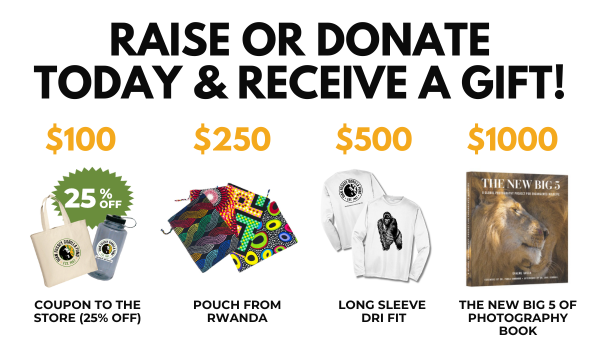 World Gorilla Day Incentives 2023 includes books, coupon code, and merchandise